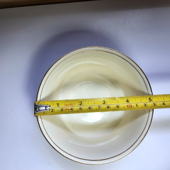 Myott Bowl MYO100 Fruit in Urn Blue Band Scalloped Edge Staffordshire England - Picture 7 of 8